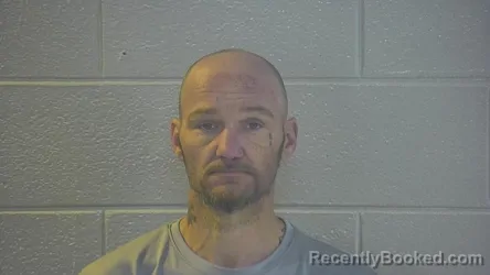 Recent Mugshot Image for DILLARD C NORMAN in Pulaski County, Kentucky