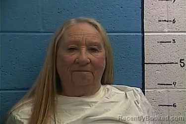 Recent Mugshot Image for NANCY MILES in Rockcastle County, Kentucky