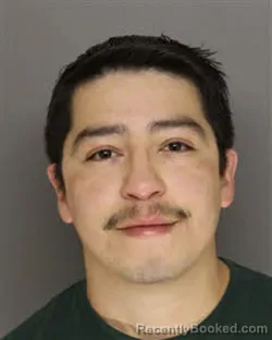 Recent Mugshot Image for MARTIN ROY NIEVES in Moore County, North Carolina
