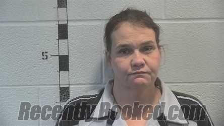 Recent Mugshot Image for VIRGINIA LYNN RUNION in Shelby County, Kentucky