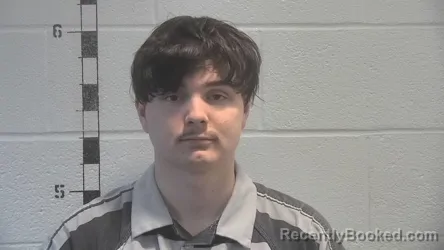 Recent Mugshot Image for ANTHONY OSBORNE DIPOLA in Shelby County, Kentucky