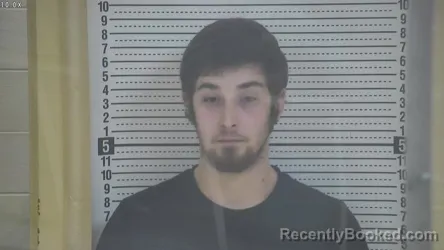 Recent Mugshot Image for RYEN LUKE COX in Taylor County, Kentucky
