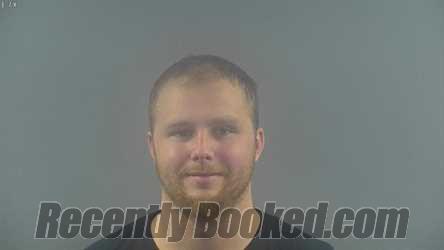 Recent Mugshot Image for ROBBIE LYN HANNER in Warren County, Kentucky