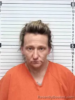 Recent Mugshot Image for JESSICA SPRADLIN in Wayne County, Kentucky