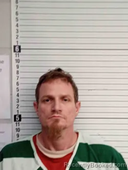 Recent Mugshot Image for NATHAN RAMSEY in Wayne County, Kentucky