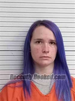 Recent Mugshot Image for WHITNEY LEE in Wayne County, Kentucky