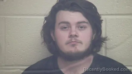 Recent Mugshot Image for MASON ALLEN STONE in Webster County, Kentucky