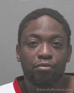 Recent Mugshot Image for JACKIE DELMORE FOY in New Hanover County, North Carolina