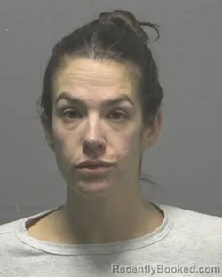 Recent Mugshot Image for MICHELLE LANE MASIELLO in New Hanover County, North Carolina