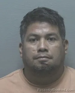 Recent Mugshot Image for LANDER ROBLERO HERNANDEZ in New Hanover County, North Carolina