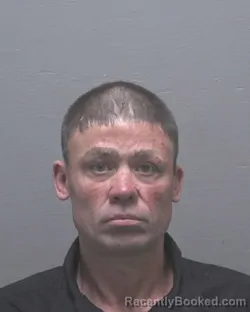 Recent Mugshot Image for ANTHONY WAYNE HENDERSON in New Hanover County, North Carolina