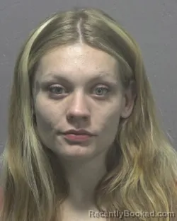 Recent Mugshot Image for JESSIE LOUISE PORTER in New Hanover County, North Carolina