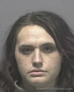 Recent Mugshot Image for CARLY RENIA HOERIG in New Hanover County, North Carolina