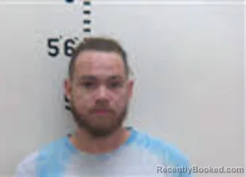 Recent Mugshot Image for ROBERT NICK THOMAS PERRY in Person County, North Carolina