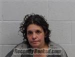 Recent Mugshot Image for Bobbi Lee Workman in Polk County, North Carolina