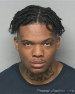 Recent Mugshot Image for TYLER KRISTIAN NELSON in Randolph County, North Carolina