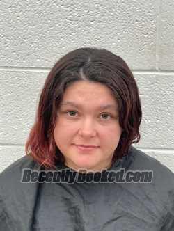 Recent Mugshot Image for SHANNON ELIZABETH DOBBINS in Rutherford County, North Carolina