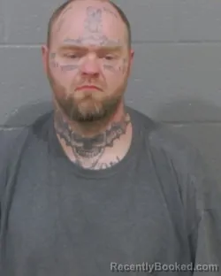 Recent Mugshot Image for DANIEL MARK MEDLIN in Stanly County, North Carolina