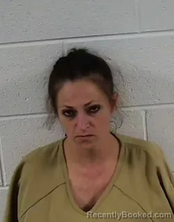 Recent Mugshot Image for HEATHER NICHOLE ST JOHN in Surry County, North Carolina