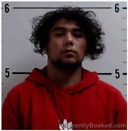 Recent Mugshot Image for JOSEPH RYAN TORRES in Surry County, North Carolina