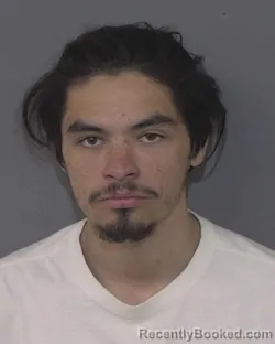 Recent Mugshot Image for ZEPPELIN RAY TAMILIO in Union County, North Carolina