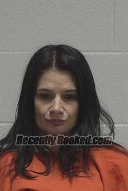 Recent Mugshot Image for ASHLEY DANIELLE KELLY in Wayne County, North Carolina