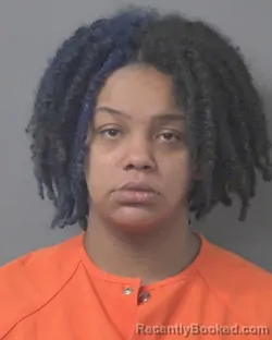 Recent Mugshot Image for BRIANNA NOEL TAYLOR in Wilson County, North Carolina