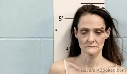 Recent Mugshot Image for ANGELICA A ASHBY in Lincoln County, Missouri