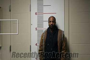 Recent Mugshot Image for DARYLE BENSON in Anderson County, Texas