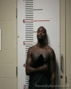 Recent Mugshot Image for DOMINIC YVONNE FENCH in Anderson County, Texas