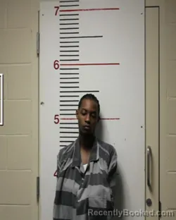 Recent Mugshot Image for NICHOLAS CARWELL in Anderson County, Texas