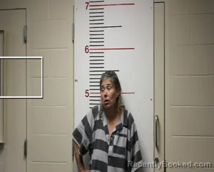 Recent Mugshot Image for KRISTY KAY DOWNES in Anderson County, Texas