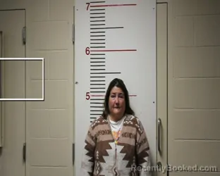 Recent Mugshot Image for SHELLY DAWN HENSON in Anderson County, Texas