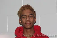 Recent Mugshot Image for Michael Joshua Dale Kirkland in Livingston County, Missouri