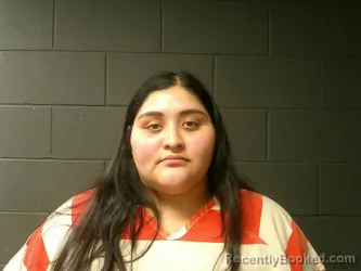 Recent Mugshot Image for Idania Judith Monterroso Ortiz in McDonald County, Missouri