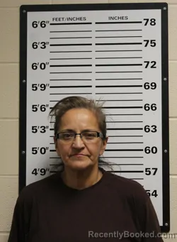 Recent Mugshot Image for OSHAWNA EVE SORRELL in Valley County, Montana