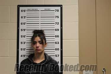 Recent Mugshot Image for TELISHA PAIGE WILLIAMS in Valley County, Montana