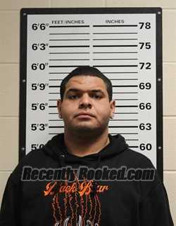 Recent Mugshot Image for JAELIN ARAELIUS HARRIS in Valley County, Montana