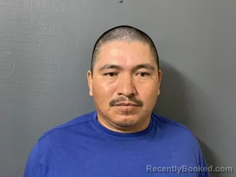 Recent Mugshot Image for Arturo Tinoco Mejia in Hardee County, Florida