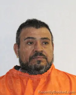 Recent Mugshot Image for REMIS MANDUJANO in Clay County, Texas