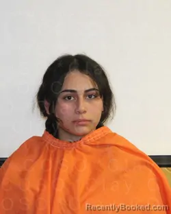 Recent Mugshot Image for SARAH ABBY GUERRERO in Clay County, Texas