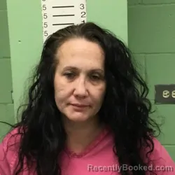 Recent Mugshot Image for KRISTIN DANIELLE POWELL in Bryan County, Oklahoma