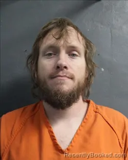 Recent Mugshot Image for LEO PALITTI in Delaware County, Oklahoma