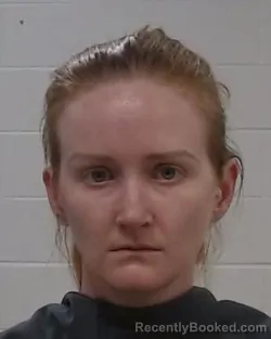 Recent Mugshot Image for Michele Nicole Clem in Collin County, Texas