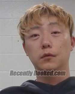 Recent Mugshot Image for Luo Yu in Collin County, Texas