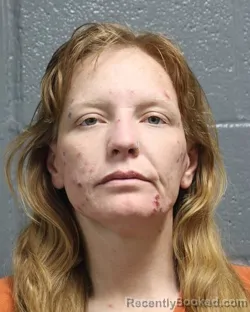 Recent Mugshot Image for JILLIAN LEE HOLTQUIST in Oklahoma County, Oklahoma