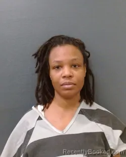 Recent Mugshot Image for LAUREN DANIELLE RAMSEY in Comal County, Texas