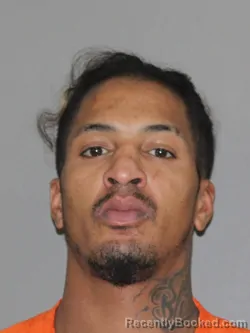 Recent Mugshot Image for Corrie J Frank in Denton County, Texas