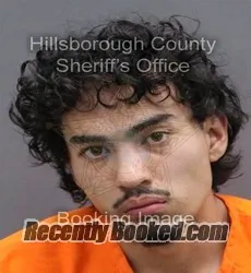 Recent Mugshot Image for CAMERON MIGUEL AJOY-ARVIDSON in Hillsborough County, Florida