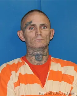 Recent Mugshot Image for RONNIE NOEL GARIEPY in Eastland County, Texas